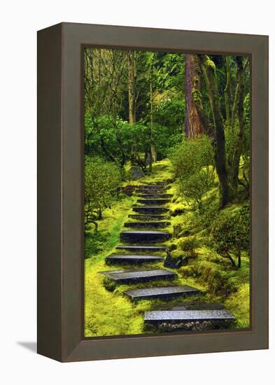 Spring on the Steps, Portland Japanese Garden, Portland, Oregon, USA-Michel Hersen-Framed Premier Image Canvas