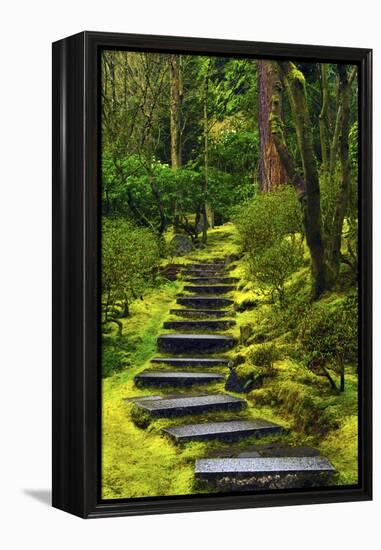 Spring on the Steps, Portland Japanese Garden, Portland, Oregon, USA-Michel Hersen-Framed Premier Image Canvas