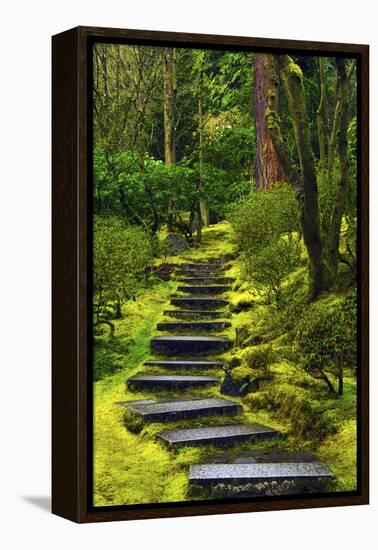 Spring on the Steps, Portland Japanese Garden, Portland, Oregon, USA-Michel Hersen-Framed Premier Image Canvas