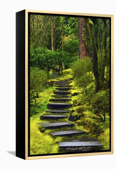 Spring on the Steps, Portland Japanese Garden, Portland, Oregon, USA-Michel Hersen-Framed Premier Image Canvas