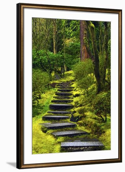 Spring on the Steps, Portland Japanese Garden, Portland, Oregon, USA-Michel Hersen-Framed Photographic Print