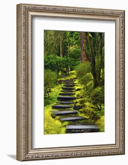 Spring on the Steps, Portland Japanese Garden, Portland, Oregon, USA-Michel Hersen-Framed Photographic Print