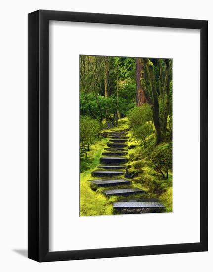 Spring on the Steps, Portland Japanese Garden, Portland, Oregon, USA-Michel Hersen-Framed Photographic Print