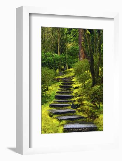 Spring on the Steps, Portland Japanese Garden, Portland, Oregon, USA-Michel Hersen-Framed Photographic Print