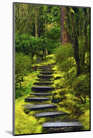 Spring on the Steps, Portland Japanese Garden, Portland, Oregon, USA-Michel Hersen-Mounted Photographic Print