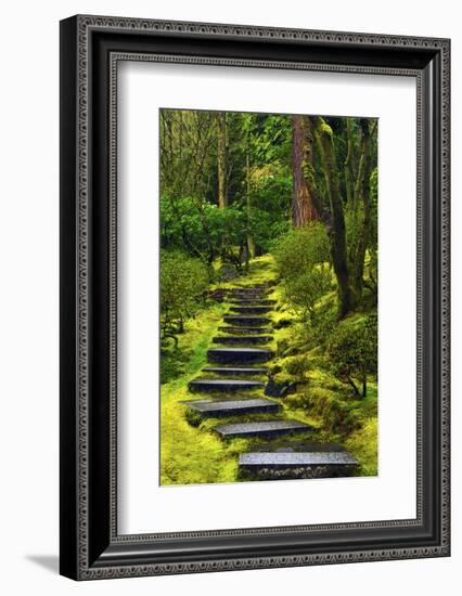 Spring on the Steps, Portland Japanese Garden, Portland, Oregon, USA-Michel Hersen-Framed Photographic Print