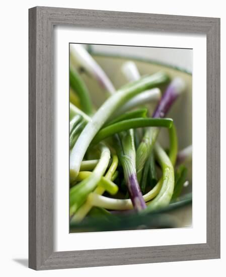 Spring Onions in a Dish-Neil Corder-Framed Photographic Print