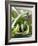 Spring Onions in a Dish-Neil Corder-Framed Photographic Print