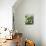 Spring Onions in a Dish-Neil Corder-Mounted Photographic Print displayed on a wall