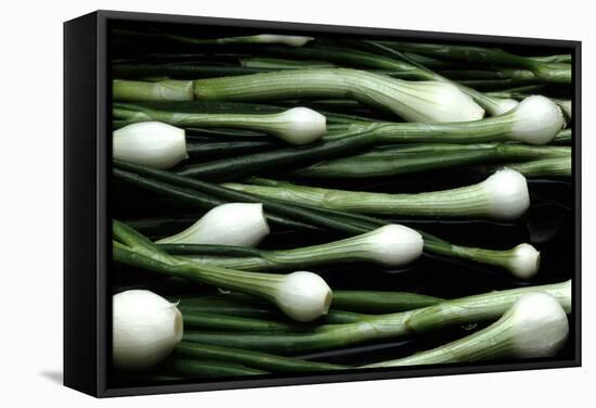 Spring Onions-Victor De Schwanberg-Framed Premier Image Canvas