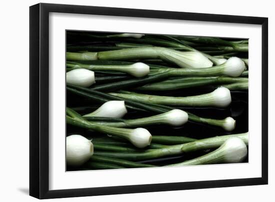 Spring Onions-Victor De Schwanberg-Framed Photographic Print