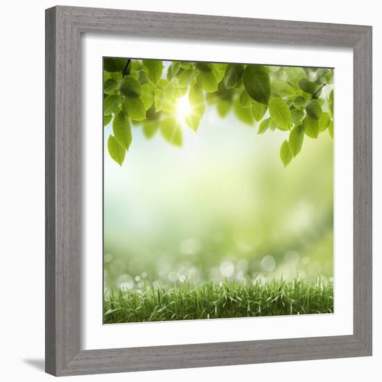 Spring or Summer Season Abstract Nature Background with Grass and Blue Sky in the Back-Krivosheev Vitaly-Framed Photographic Print