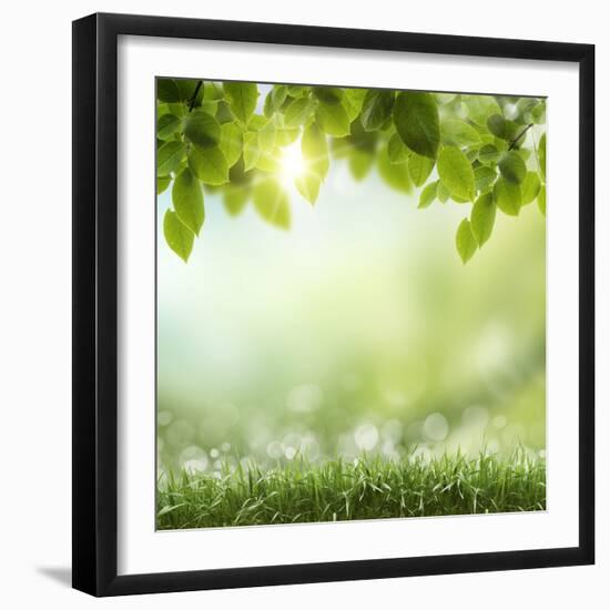 Spring or Summer Season Abstract Nature Background with Grass and Blue Sky in the Back-Krivosheev Vitaly-Framed Photographic Print