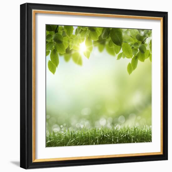 Spring or Summer Season Abstract Nature Background with Grass and Blue Sky in the Back-Krivosheev Vitaly-Framed Photographic Print