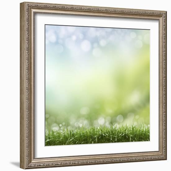 Spring or Summer Season Abstract Nature Background with Grass and Blue Sky in the Back-Krivosheev Vitaly-Framed Art Print