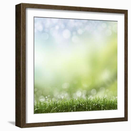 Spring or Summer Season Abstract Nature Background with Grass and Blue Sky in the Back-Krivosheev Vitaly-Framed Art Print