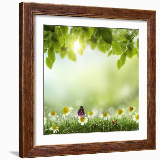 Spring or Summer Season Abstract Nature Background with Grass and Blue Sky in the Back-Krivosheev Vitaly-Framed Art Print