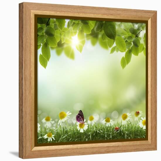 Spring or Summer Season Abstract Nature Background with Grass and Blue Sky in the Back-Krivosheev Vitaly-Framed Stretched Canvas