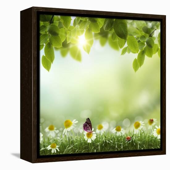 Spring or Summer Season Abstract Nature Background with Grass and Blue Sky in the Back-Krivosheev Vitaly-Framed Stretched Canvas