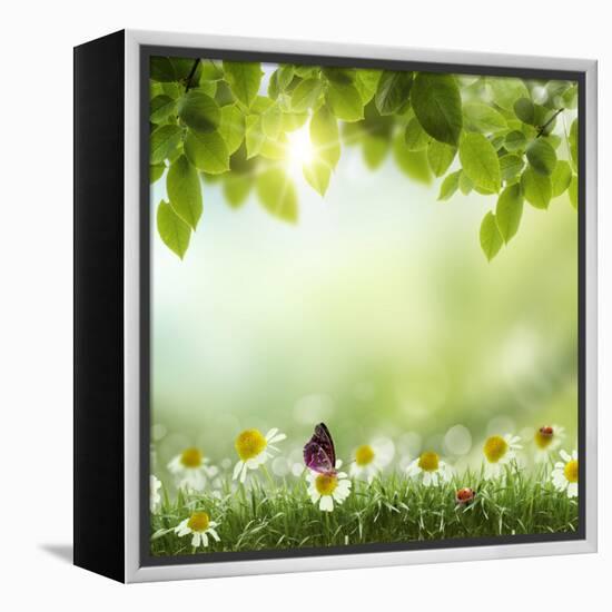 Spring or Summer Season Abstract Nature Background with Grass and Blue Sky in the Back-Krivosheev Vitaly-Framed Stretched Canvas