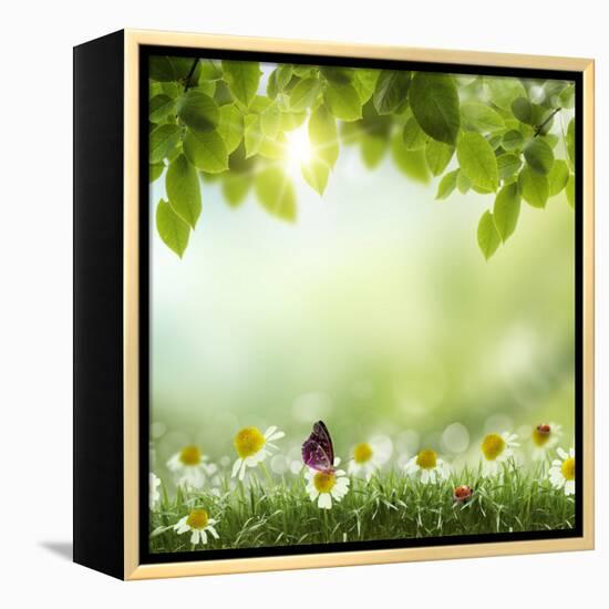 Spring or Summer Season Abstract Nature Background with Grass and Blue Sky in the Back-Krivosheev Vitaly-Framed Stretched Canvas