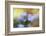 Spring painting-Heidi Westum-Framed Photographic Print