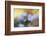 Spring painting-Heidi Westum-Framed Photographic Print