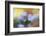 Spring painting-Heidi Westum-Framed Photographic Print