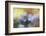 Spring painting-Heidi Westum-Framed Photographic Print