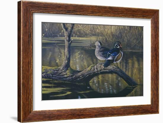 Spring Pair - Wood Ducks-Wilhelm Goebel-Framed Giclee Print