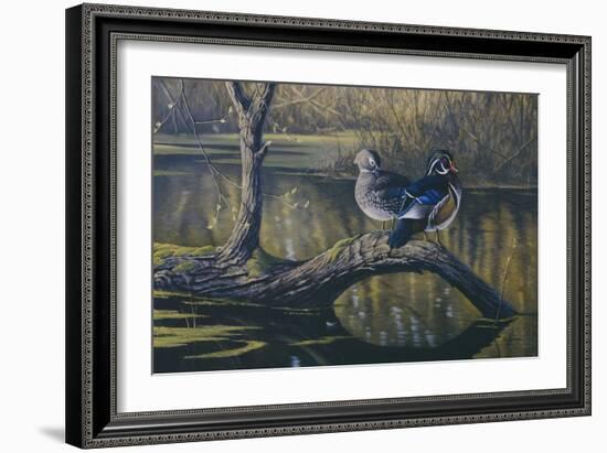 Spring Pair - Wood Ducks-Wilhelm Goebel-Framed Giclee Print