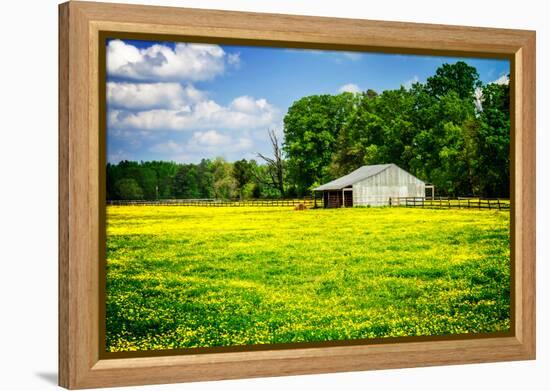 Spring Pasture I-Alan Hausenflock-Framed Stretched Canvas