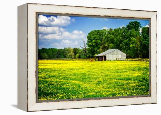 Spring Pasture I-Alan Hausenflock-Framed Stretched Canvas