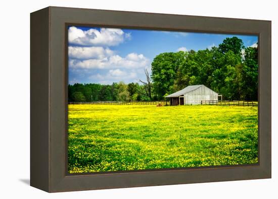 Spring Pasture I-Alan Hausenflock-Framed Stretched Canvas