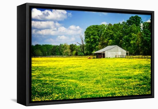 Spring Pasture I-Alan Hausenflock-Framed Stretched Canvas