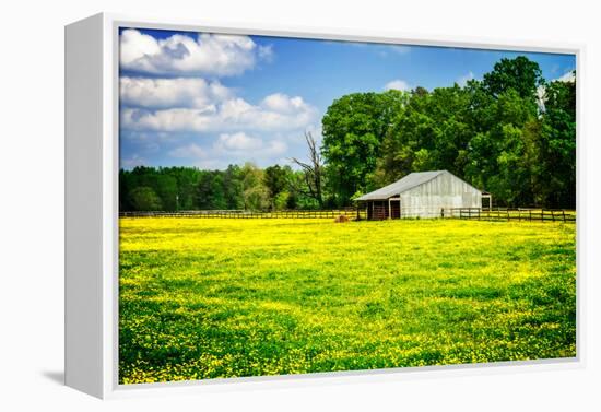 Spring Pasture I-Alan Hausenflock-Framed Stretched Canvas