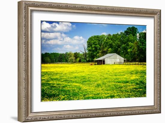 Spring Pasture I-Alan Hausenflock-Framed Photo