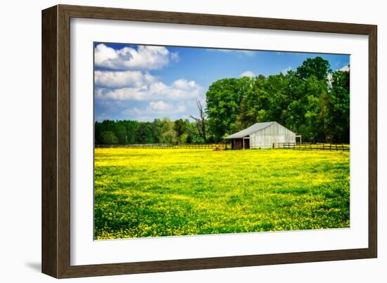 Spring Pasture I-Alan Hausenflock-Framed Photo