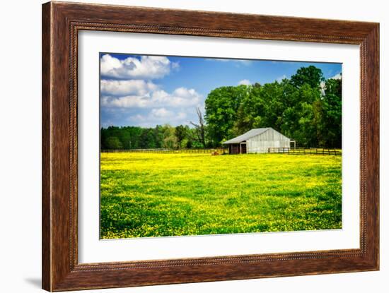 Spring Pasture I-Alan Hausenflock-Framed Photo