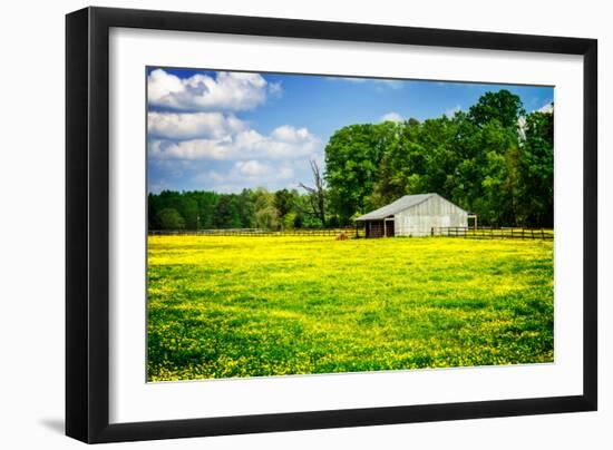 Spring Pasture I-Alan Hausenflock-Framed Photo