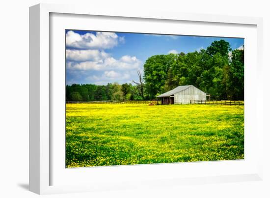 Spring Pasture I-Alan Hausenflock-Framed Photo