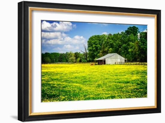 Spring Pasture I-Alan Hausenflock-Framed Photo