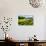 Spring Pasture II-Alan Hausenflock-Photo displayed on a wall
