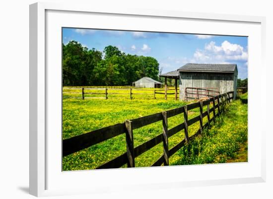 Spring Pasture II-Alan Hausenflock-Framed Photo