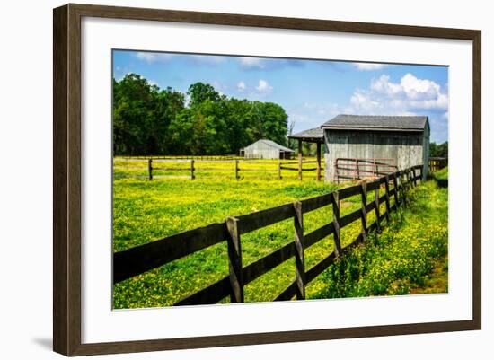 Spring Pasture II-Alan Hausenflock-Framed Photo