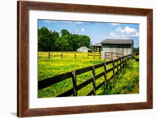 Spring Pasture II-Alan Hausenflock-Framed Photo