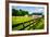 Spring Pasture II-Alan Hausenflock-Framed Photo