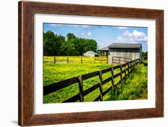 Spring Pasture II-Alan Hausenflock-Framed Photo