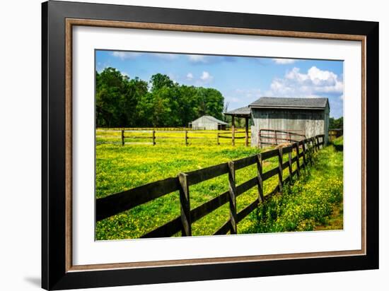 Spring Pasture II-Alan Hausenflock-Framed Photo