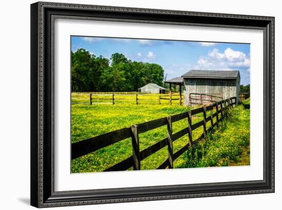 Spring Pasture II-Alan Hausenflock-Framed Photo